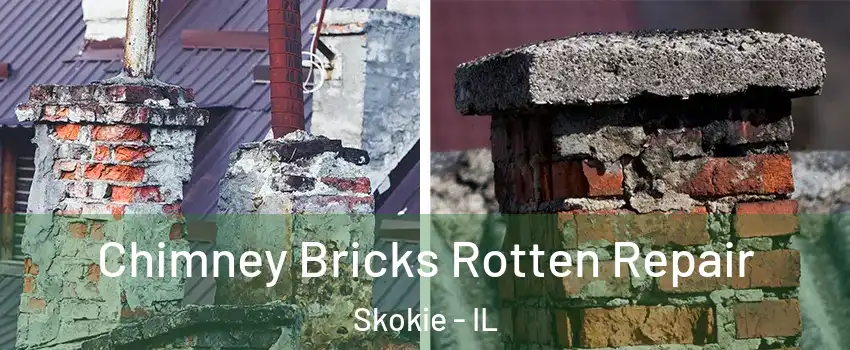  Chimney Bricks Rotten Repair Skokie - IL