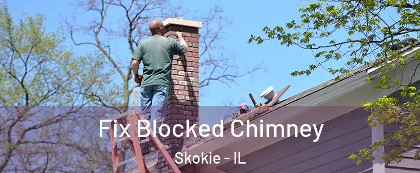  Fix Blocked Chimney Skokie - IL